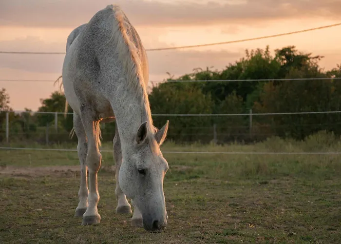 アパート In 43404